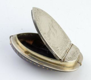 Antique C1820 Georgian Mussel Shell Snuff Box Provincial White Metal