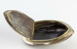 Antique c1820 Georgian Mussel Shell Snuff Box Provincial White Metal 6