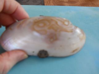 Antique Vintage Sea Shell Hinged Coin Purse With Clasp