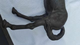 Hubley Cast Iron Horse Doorstop 3