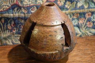 An Antique Amazon Rainforest Brazil Nut Turned & Carved Seed Pod Curio. 2