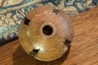An Antique Amazon Rainforest Brazil Nut Turned & Carved Seed Pod Curio. 3