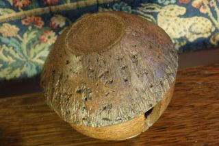 An Antique Amazon Rainforest Brazil Nut Turned & Carved Seed Pod Curio. 4