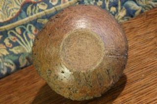 An Antique Amazon Rainforest Brazil Nut Turned & Carved Seed Pod Curio. 5
