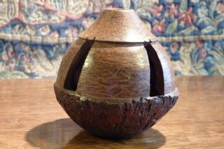 An Antique Amazon Rainforest Brazil Nut Turned & Carved Seed Pod Curio. 7