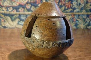 An Antique Amazon Rainforest Brazil Nut Turned & Carved Seed Pod Curio. 8