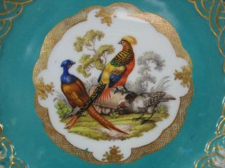 Antique Meissen porcelain reticulated plate with 3 Birds pheasants 8 2