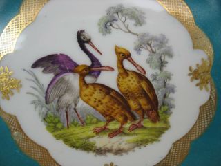 Antique Meissen porcelain reticulated plate with Pelicans Birds 4 2