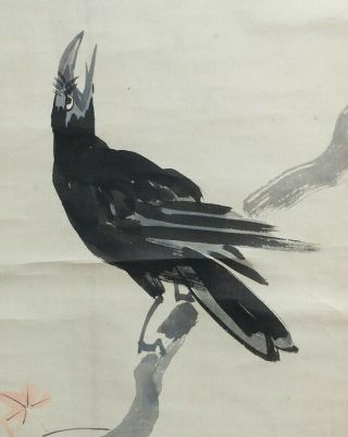 I599: Japanese Hanging Scroll.  Crow On Branch By Famous Ikka Nagai.