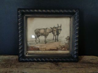 Rare Antique Lithograph Donkeys,  Tregear 