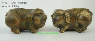 China Fengshui Brass Animal Zodiac Year Pig Fu Lovely Statue Sculpture Pair F02