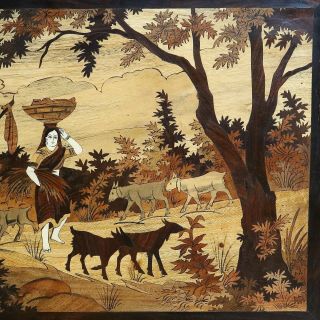 Large Inlaid Wood Marquetry Art or Tray from India / Middle East - Rural Scene 7