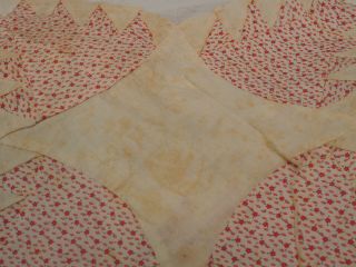 29 1930 Quilt Blocks Cotton fabric Feed sack 12 