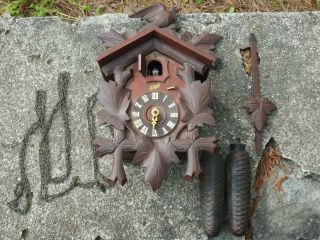 Vintage Schatz Germany 8 Day Cuckoo Clock,  Great,  Made In Germany