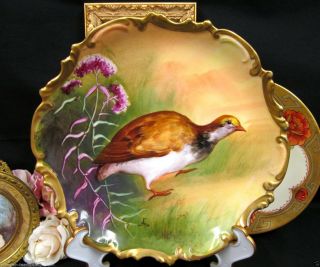 Coronet Limoges Hand Painted Bird Plate Artist Signed Plate Rocco Edges
