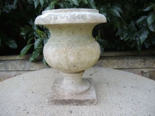 Small Antique Marble Stone Garden Urn 25 cm high (450) 2