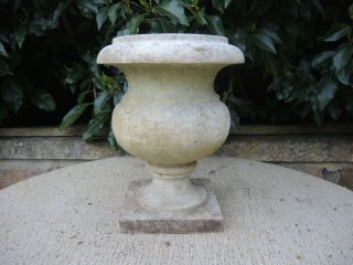 Small Antique Marble Stone Garden Urn 25 cm high (450) 3