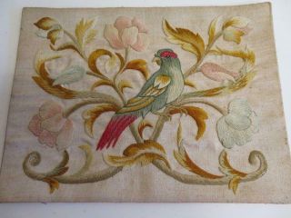 really old needle work embroidery silks cotton PARROT 2