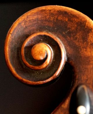 Very Old Labelled Vintage Violin " Carlo Giuseppe Testore " 小提琴 скрипка ヴァイオリンgeige