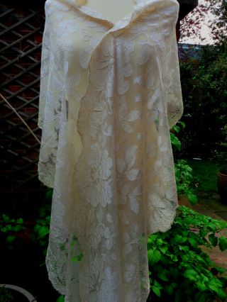 Pretty Antique/vintage Very Long Silk Blonde Lace Shawl 98 " (2.  5mtrs) Wrap