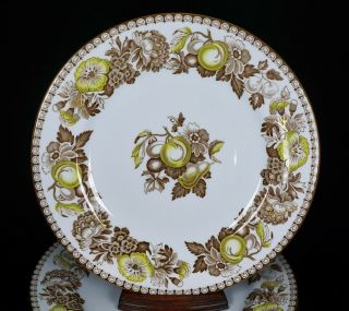 8 Copeland Spode Y7114 Dinner Plates Plate Green Brown Fruit Gold Highlights