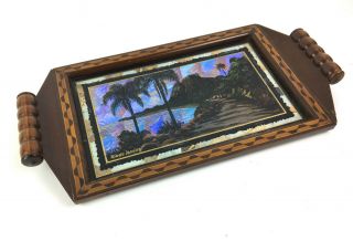 Vintage Butterfly Wing Reverse On Glass Marquetry Wood Tray Rio De Janeiro