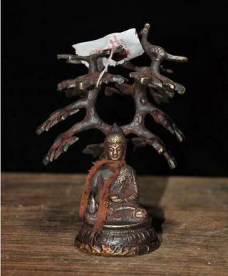 Chinese Old Hand - Carved Fengshui Copper Cinnabar Tree Buddha Statue