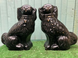 Pair: Large 19thc Large Staffordshire Jackfield Black Spaniel Dogs C1890s