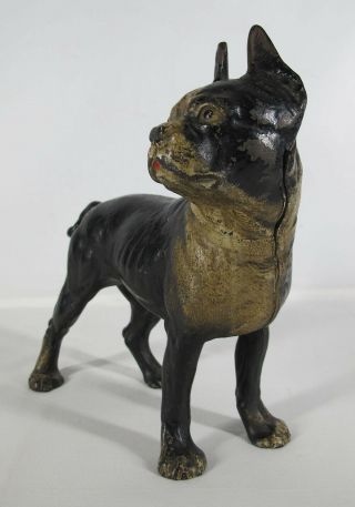 Antique Hubley Boston Terrier Right Facing Cast Iron Door Stop Doorstop 10¼ 