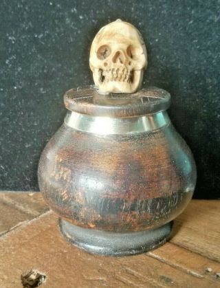 Vintage Bovine Bone Skull Memento Mori Keepsake / Memorial Urn / Remembrance Jar