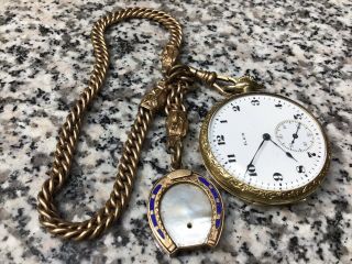 Victorian H&h Horse Head Chain & Mop Horseshoe Fob & Elgin Antique Pocket Watch