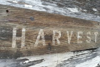 Old Early Primitive Antique Farm Chippy Barn Harvest Barn Apple Seed Sign