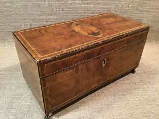 FINEST Antique Britannia Federal Inlaid Mahogany Satin Wood Tea Caddy Box 2