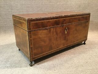 FINEST Antique Britannia Federal Inlaid Mahogany Satin Wood Tea Caddy Box 3