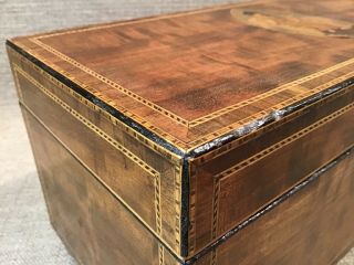 FINEST Antique Britannia Federal Inlaid Mahogany Satin Wood Tea Caddy Box 4