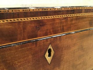 FINEST Antique Britannia Federal Inlaid Mahogany Satin Wood Tea Caddy Box 7