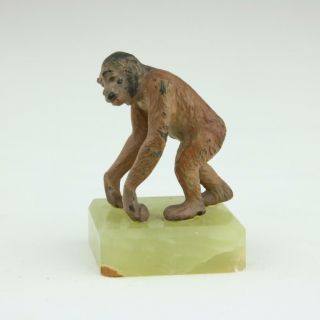 Antique Vienna Bronze Monkey On Base Austrian Cold Painted Rare Antique