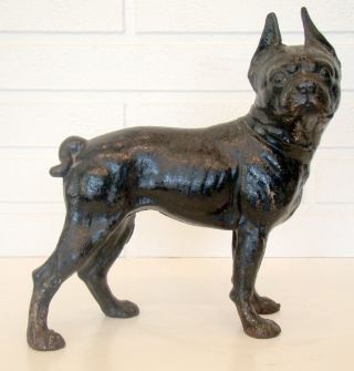 Antique Large 10.  5 " Hubley Cast - Iron Boston Bull Terrier Dog Doorstop Old Paint