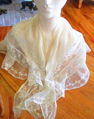 1890s Silk Embroidered Lace Shawl Or Collar Ecru And Edwardian