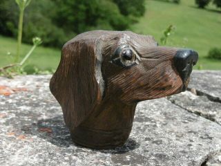 19thc BLACK FOREST OAK CARVED DOG HEAD ORIG.  GLASS EYES C.  1870 ' s 7