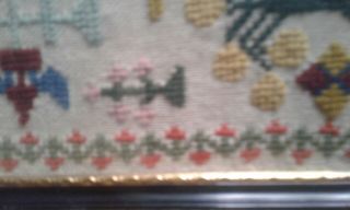 Antique 19th C hand stitched sampler embroidery dated 1859 framed 4