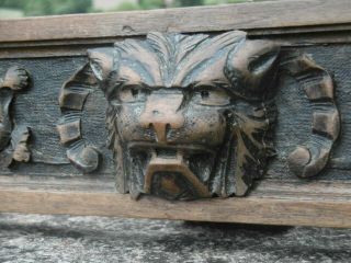 19thc Gothic Oak Panel With Lion Head Carved Centrally