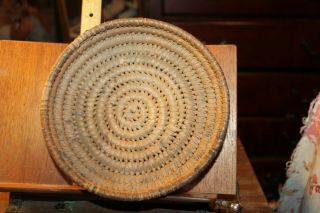 Antique Native East Tennessee Woven Basket 8 " X 2 "