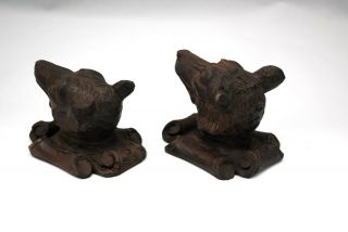 Black Forest Carved Wood Dog Wolf or Bear Animal Heads 4