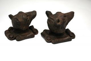 Black Forest Carved Wood Dog Wolf or Bear Animal Heads 5