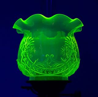 Vaseline Uranium Glass Pressed Flowers & Foliage Kerosene Duplex Oil Lamp Shade 4
