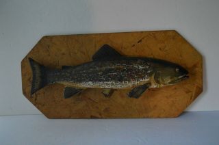 Vintage Brook Trout Handcrafted Rustic Primitive Wall Display Cottage Rustic Bar 5