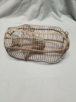 Old Antique Vtg Primitive Wire Mouse Rat Trap Cage Live Catch Release 8 1/2 "
