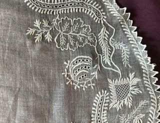 Early 19th Century Fichu,  Delicate Whitework Embroidery 45