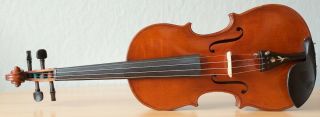 Very Old Labelled Vintage Violin " Guerra Evasio Emiliano " Fiddle 小提琴 ヴァイオリ Geige